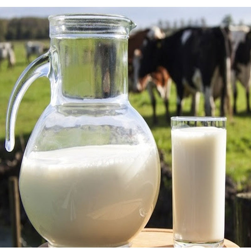 Dairy Fresh Raw Cows Milk Half Gallon River Cottage Farm