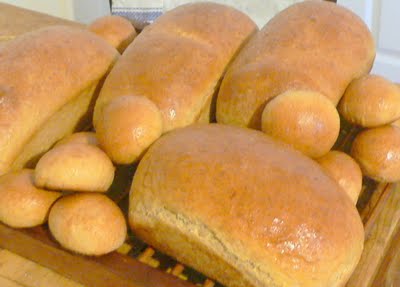 Homemade Bread Baking 101